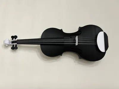 1/2 Size Violin