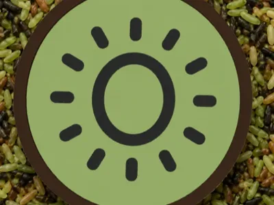 KIWI SENSORY BOARD