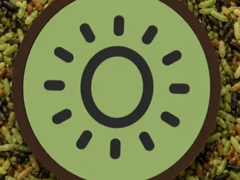 TABULEIRO SENSORIAL KIWI