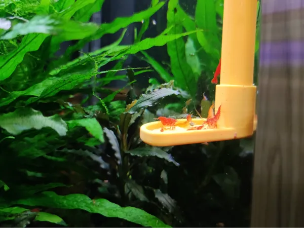https://makerworld.bblmw.com/makerworld/model/US8824e9e1dd4c39/design/81b01d096ceddd67.jpg