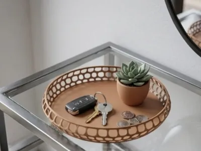 Elegant Storage Tray