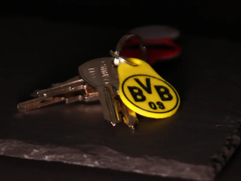 Einkaufswagenlöser BVB