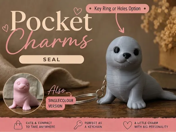 https://makerworld.bblmw.com/makerworld/model/US882b8e4c831cf5/design/6e76a9f023d63a1f.png