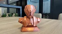 0.16mm layer, 2 walls, 10% infill