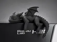 0.08mm layer, 2 walls, 15% infill