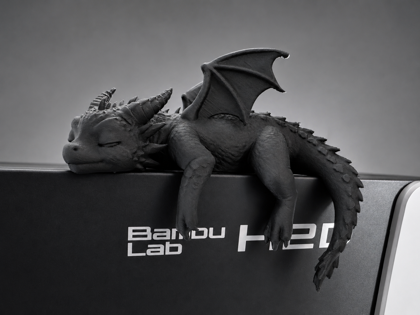 Sleeping Baby Dragon