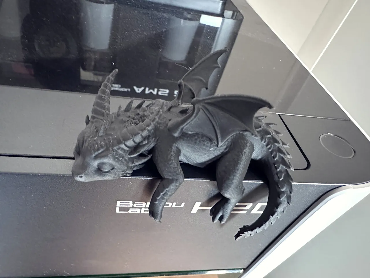 Sleeping Baby Dragon view 4