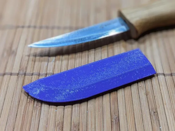 https://makerworld.bblmw.com/makerworld/model/US8834cb277a48c2/design/2024-07-01_zjh9c1poeodf.jpg