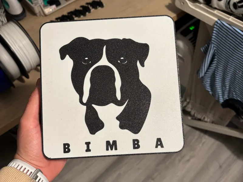 lampara pitbull ,bimba