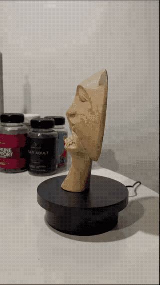 https://makerworld.bblmw.com/makerworld/model/US8836fb8b5e577e/design/2024-02-06_0c1fbc225f627.gif