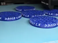 0.16mm layer, 2 walls, 15% infill TEXT ON EDGE PAINTED