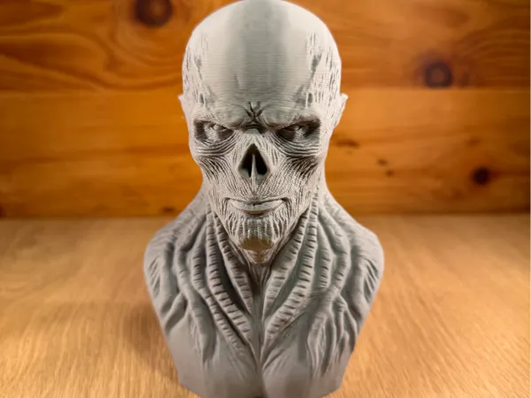 https://makerworld.bblmw.com/makerworld/model/US883fd331d9e005/design/2025-12-07_72b0f06bdfd9a8.jpeg