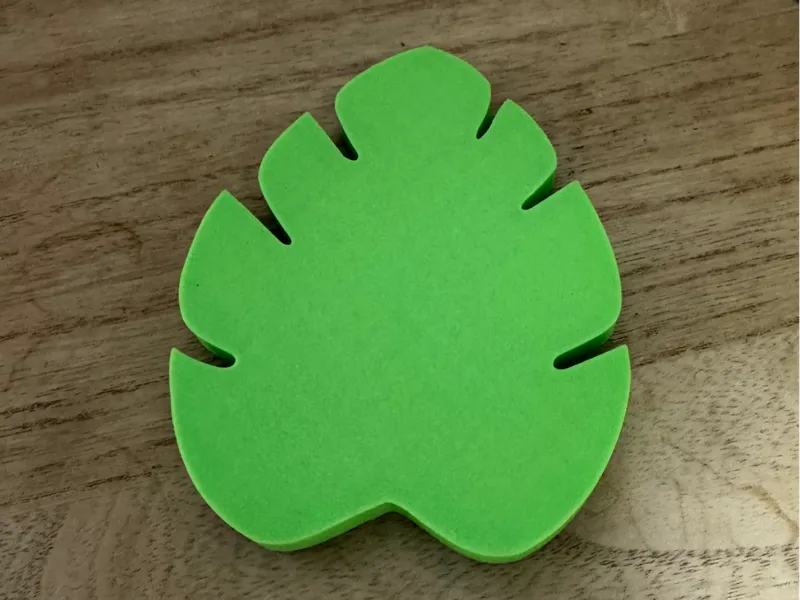 monstera coaster