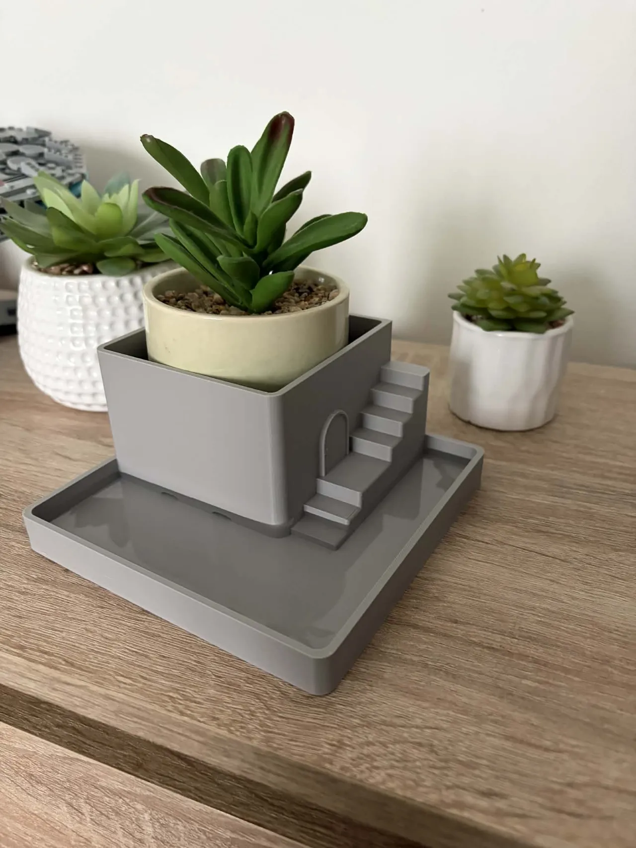 Mini Paludarium Planter view 2