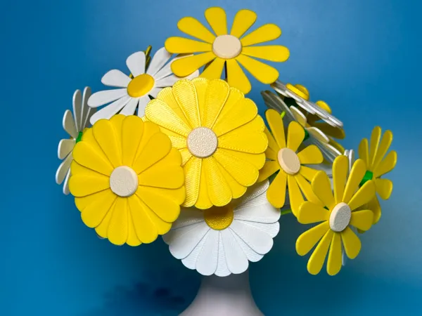 https://makerworld.bblmw.com/makerworld/model/US88470713b725ac/design/2024-08-18_189ac000f287d.jpg