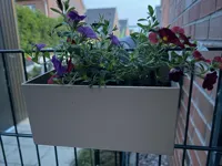 0.24mm layer, 2 walls, 15% infill