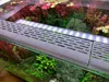 Fish Guard 100mm 0.2mm layer, 2 walls, 15% infill