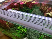 Fish Guard 100mm 0.2mm layer, 2 walls, 15% infill