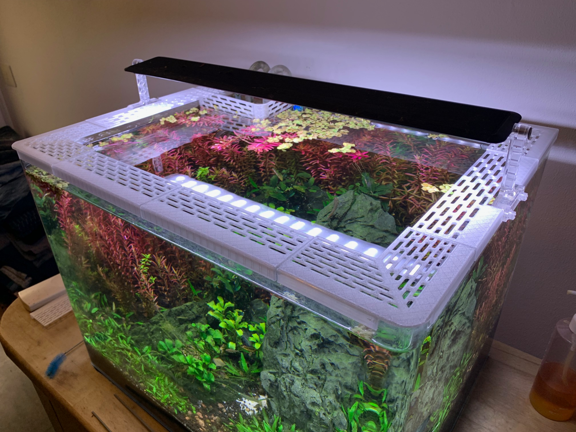 Aquarium Jump Guard for 5mm Glass