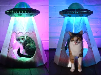 Alien Abduction LED Pet Bed  