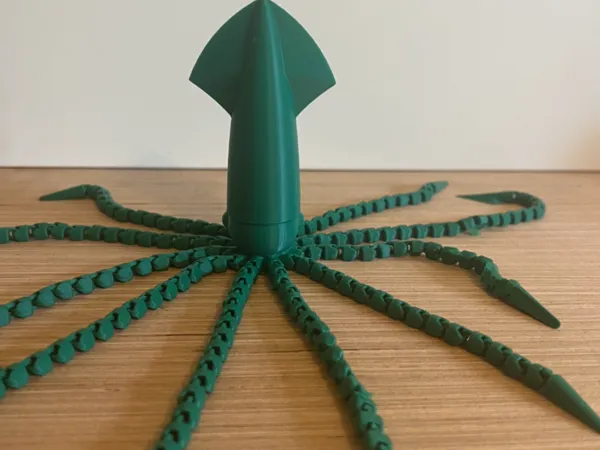https://makerworld.bblmw.com/makerworld/model/US8857c47b96b481/design/2025-09-13_992da1962e256.jpeg
