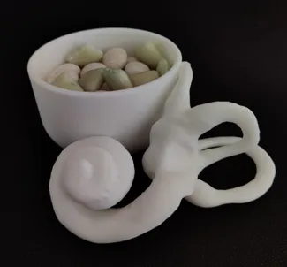 Cochlea cup