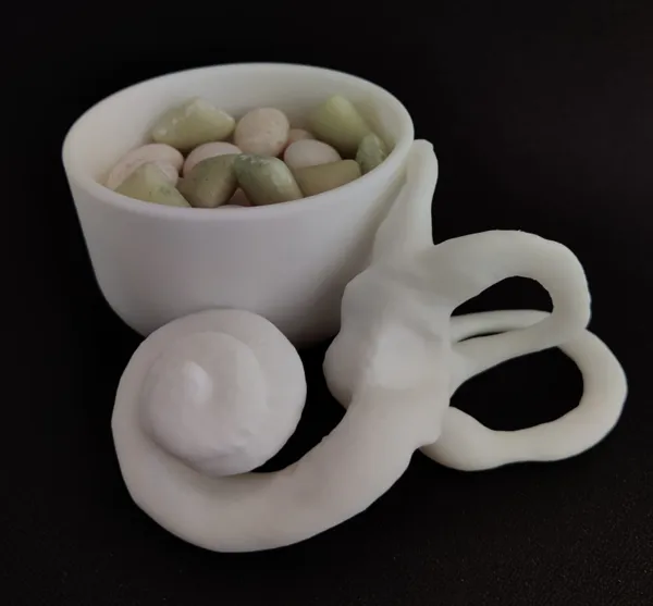 Tasse « Cochlée »