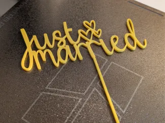 Just Married decorative cake topper