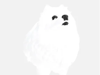 Gabe the dog