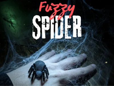 Fuzzy Spider