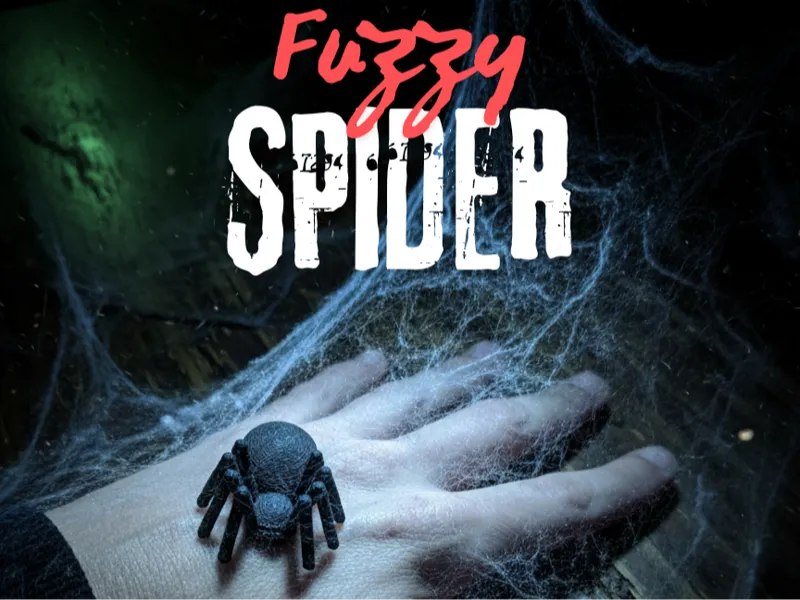 Fuzzy Spider