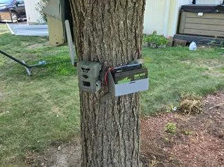 12V BATTERY TREE MOUNT