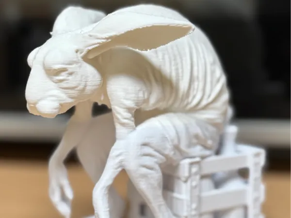 https://makerworld.bblmw.com/makerworld/model/US887029cfa6d355/design/2025-03-15_4508776903056.jpg