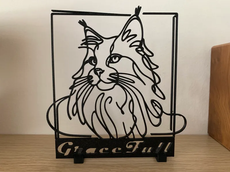 Main coon 2d art Pet Memorial