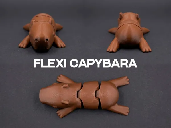 https://makerworld.bblmw.com/makerworld/model/US887c59b11b25f9/design/2026-01-15_cdaa79c96d9818.png