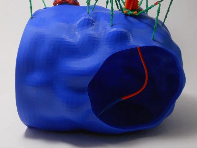bacteria - base