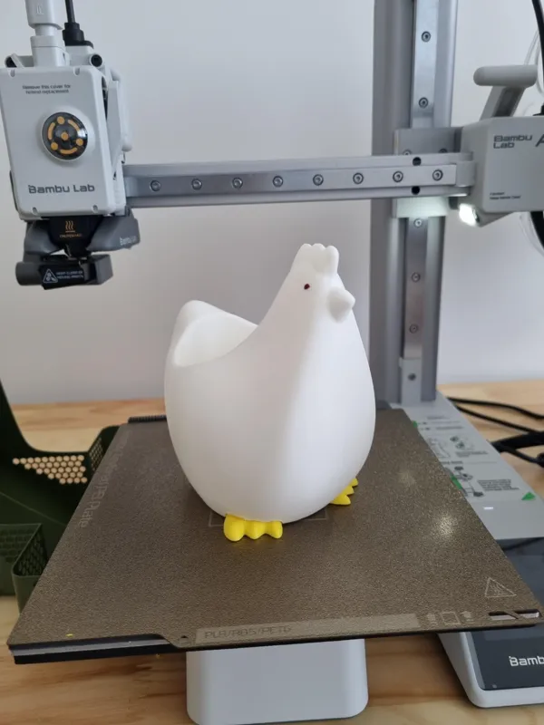 https://makerworld.bblmw.com/makerworld/model/US8884173196058c/design/2024-03-05_27539eed14fc8.jpg