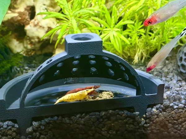 https://makerworld.bblmw.com/makerworld/model/US88915bc27fd0d/design/920523eb0900eb8a.jpeg