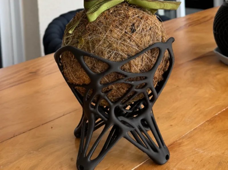 Kokedama's support