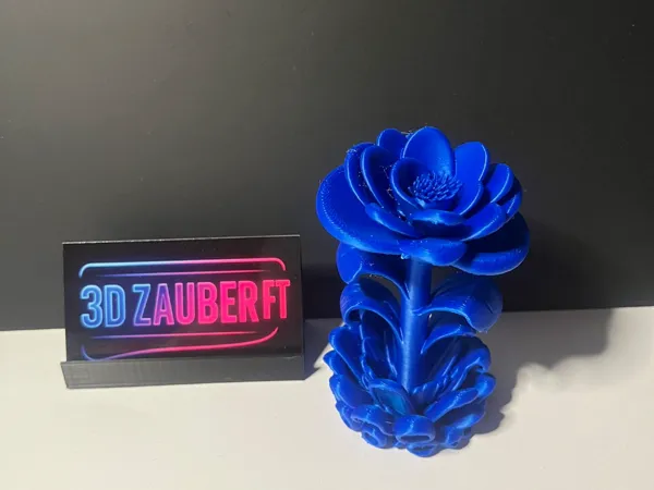 https://makerworld.bblmw.com/makerworld/model/US889a5759747c8c/design/b131d12be926d17c.jpeg