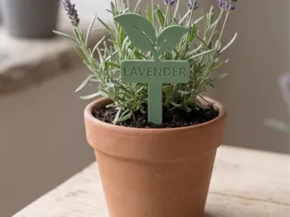 Herbs Name Tags Herb plant markers names signs