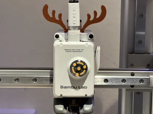 https://makerworld.bblmw.com/makerworld/model/US88a080fc159181/design/2024-12-20_24521e6437276.jpg
