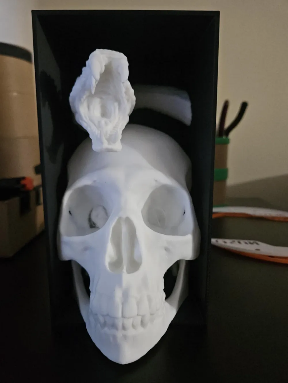Snake &amp; Skull Booknook ( Tea Light Edition) by Leslie MakerWorld ...