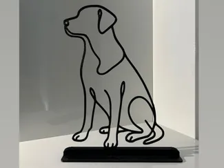 Labrador Dog