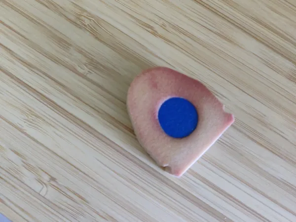 https://makerworld.bblmw.com/makerworld/model/US88aefd5b993b20/design/2024-12-20_19e6718cc54b6.jpg
