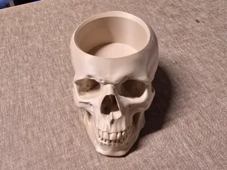 Skull Pot