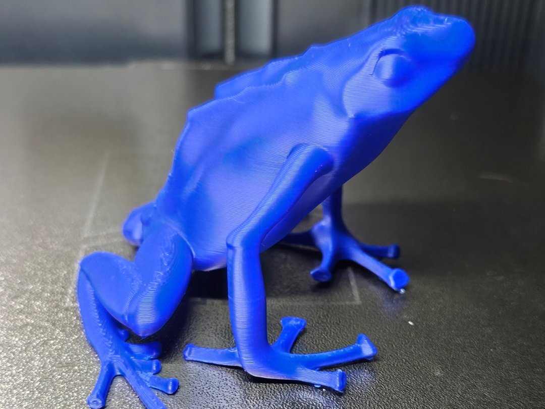 (blauer) Pfeilgiftfrosch - Tiere aus aller Welt