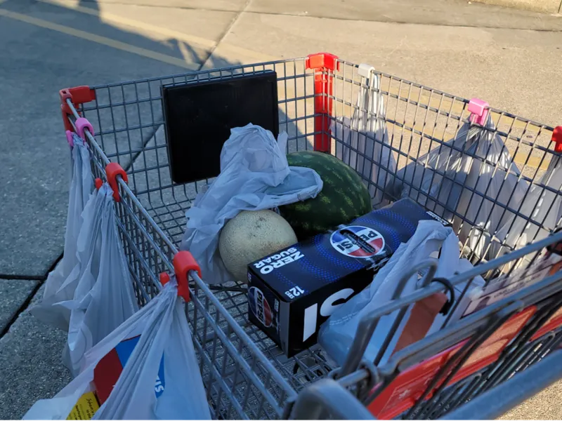 Shopping cart bag hanger