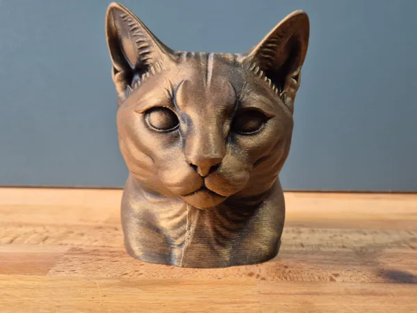 https://makerworld.bblmw.com/makerworld/model/US88b968c648b698/design/2025-06-01_00892bccf422c8.jpg
