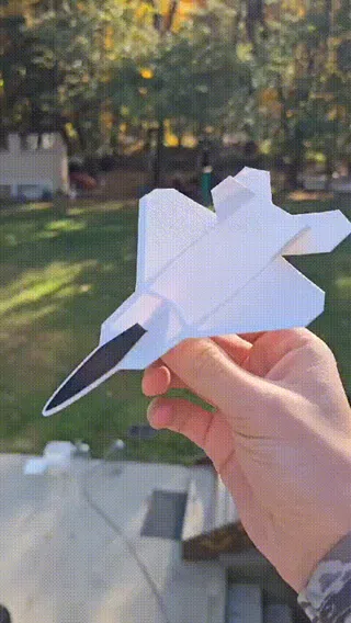 F-22 რაპტორის გლაიდერი thumbnail 3